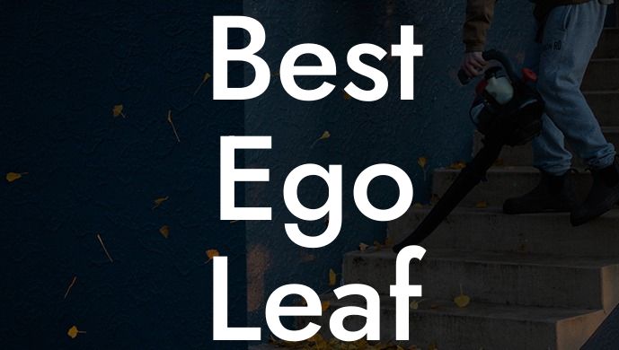 Best Ego Leaf Blower