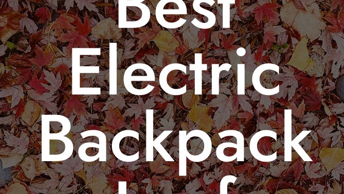 Best Electric Backpack Leaf Blower