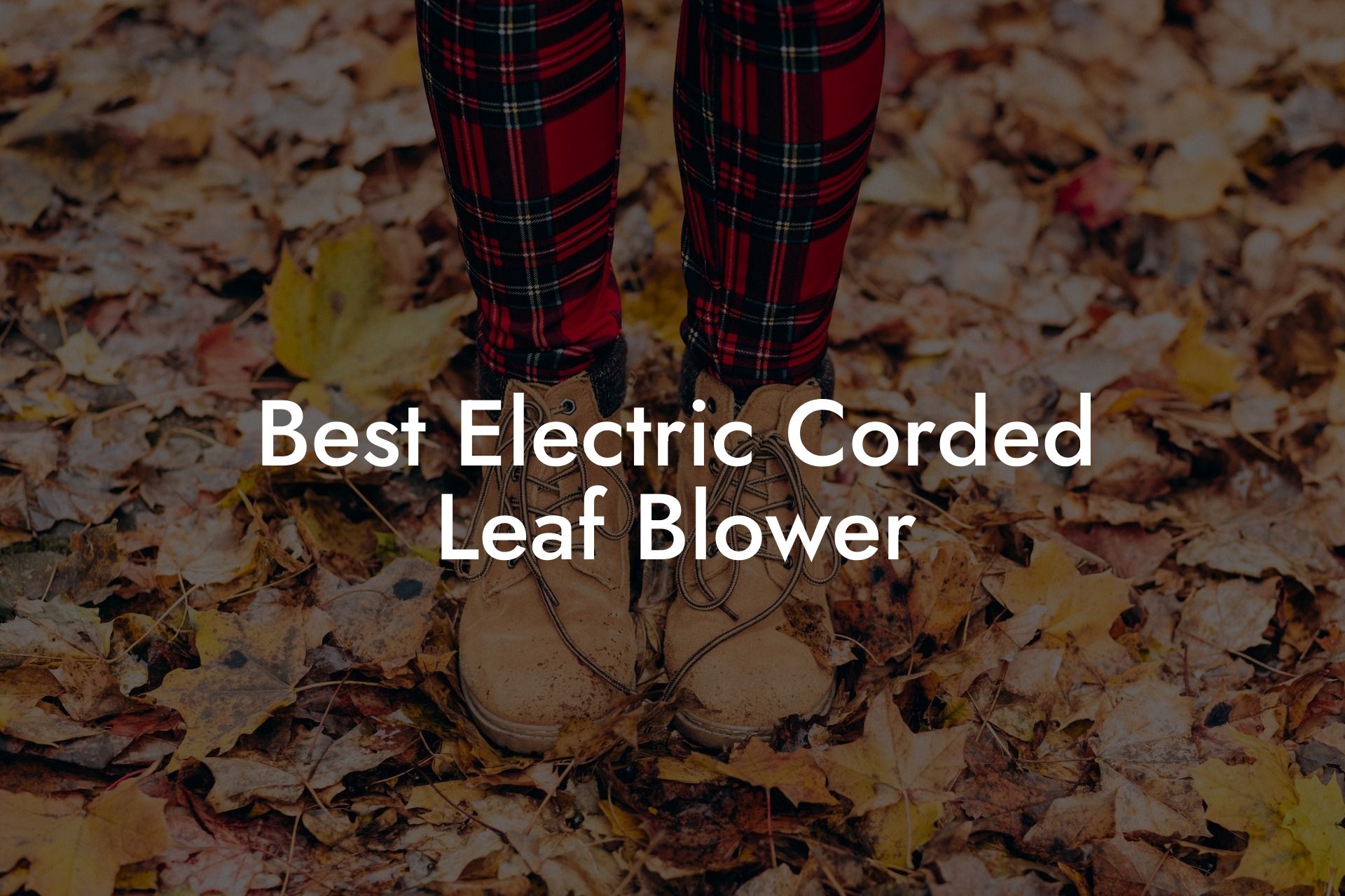 Best Electric Corded Leaf Blower