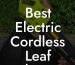 Best Electric Cordless Leaf Blower