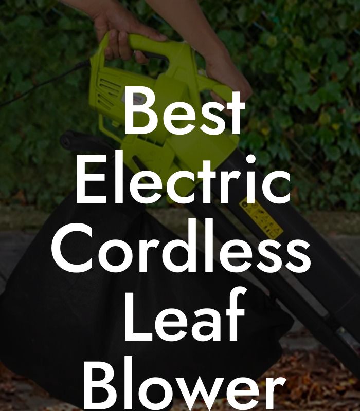 Best Electric Cordless Leaf Blower