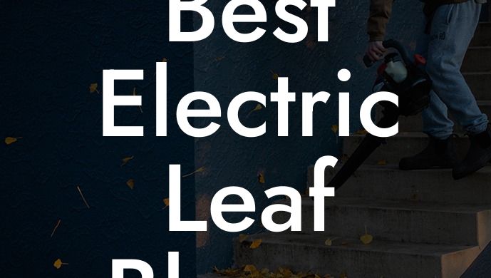 Best Electric Leaf Blower 2023