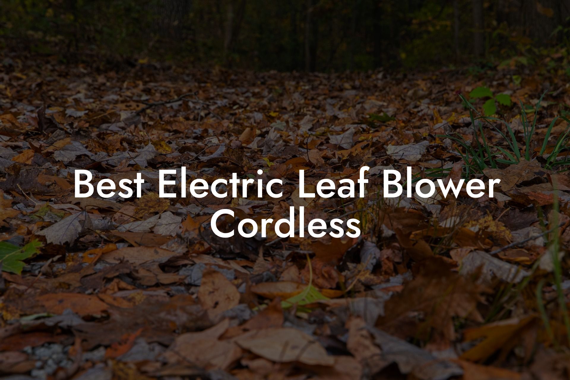 Best Electric Leaf Blower Cordless