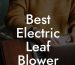 Best Electric Leaf Blower