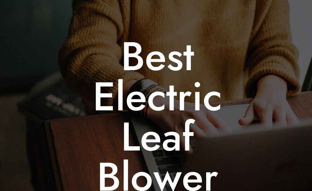 Best Electric Leaf Blower