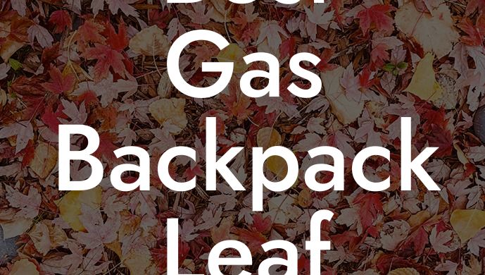 Best Gas Backpack Leaf Blower 2023