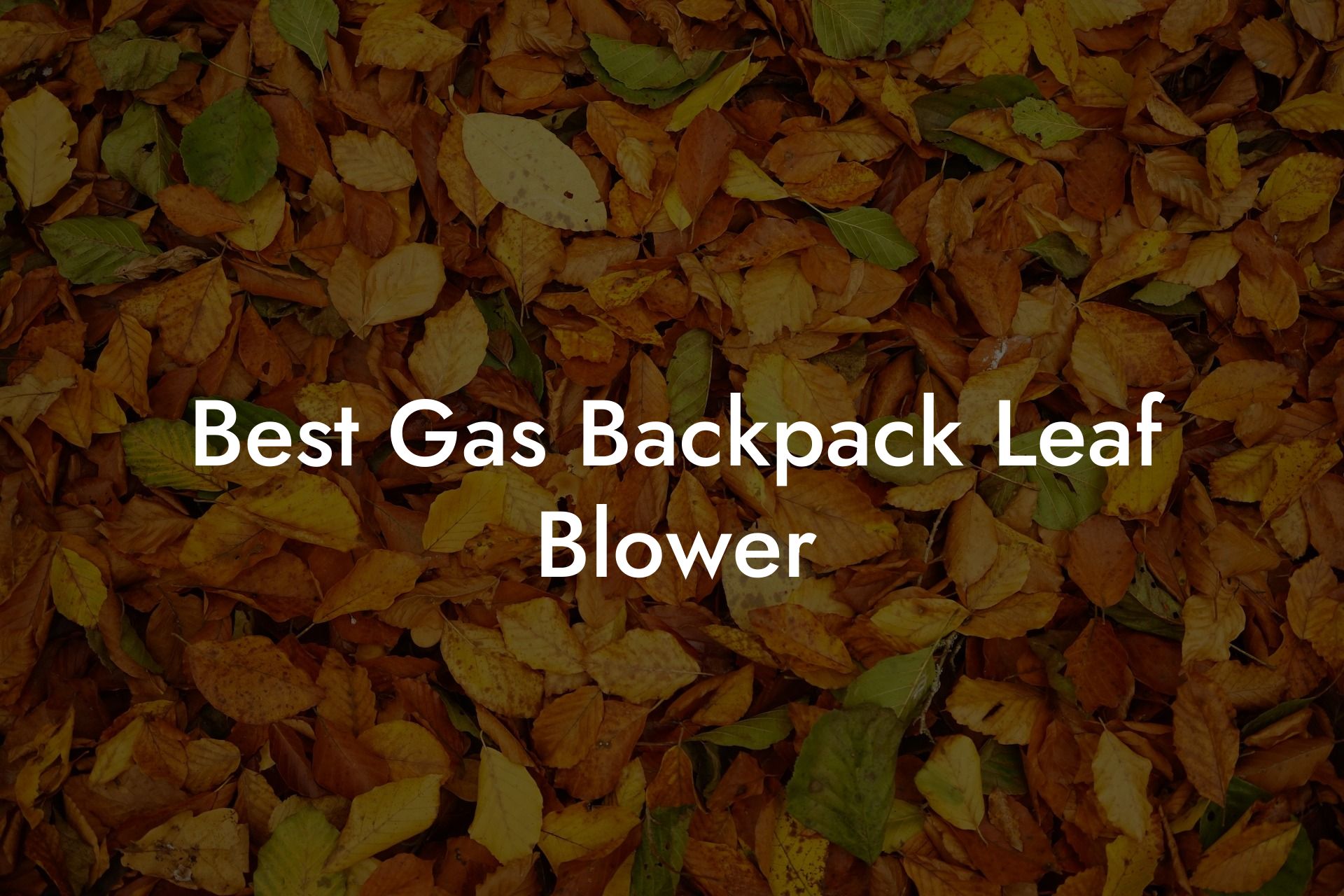 Best Gas Backpack Leaf Blower