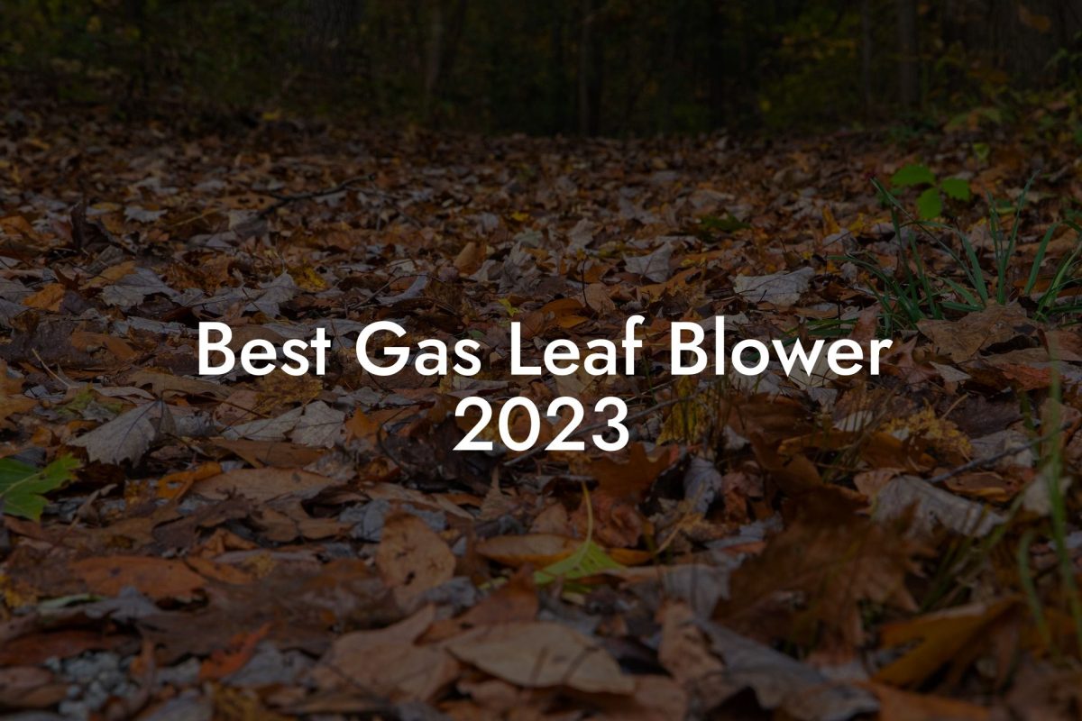 Best Gas Leaf Blower 2023