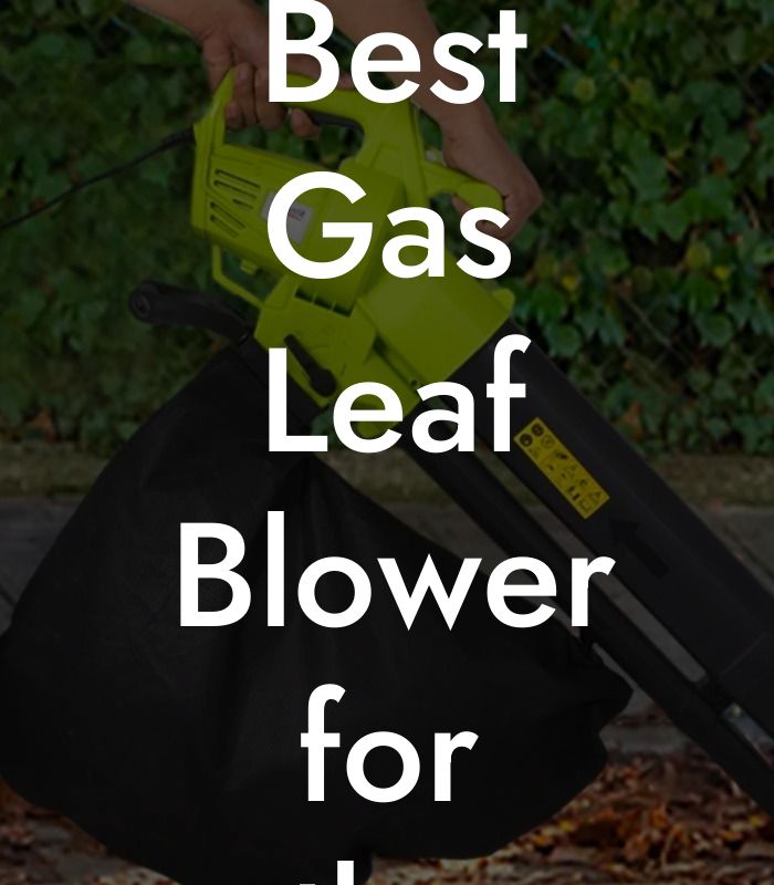 Best Gas Leaf Blower for the Money