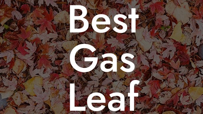 Best Gas Leaf Blower