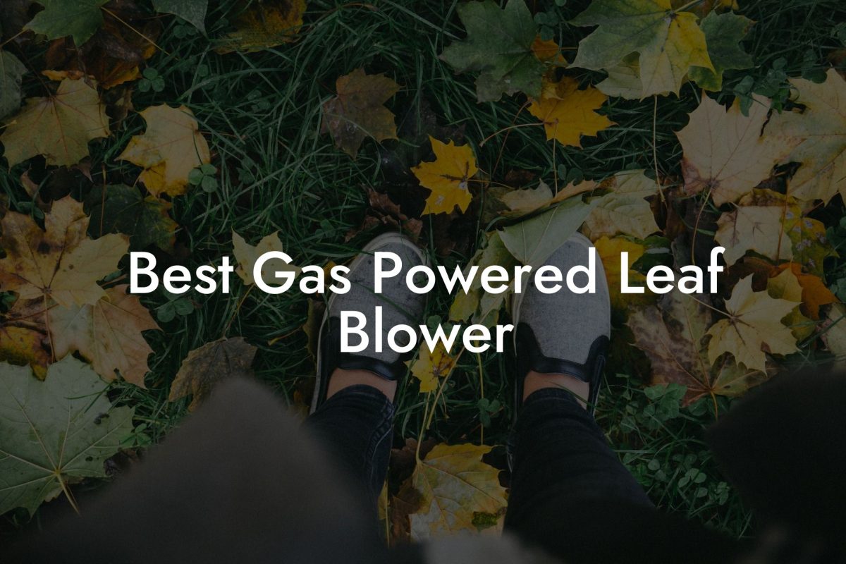 Best Gas Powered Leaf Blower