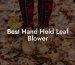 Best Hand Held Leaf Blower