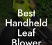 Best Handheld Leaf Blower