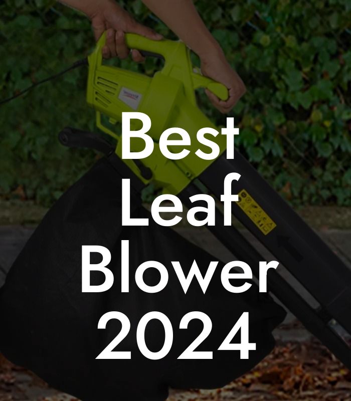 Best Leaf Blower 2024