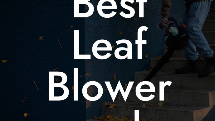 Best Leaf Blower and Vacuum