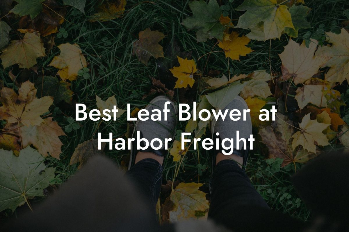 Best Leaf Blower at Harbor Freight