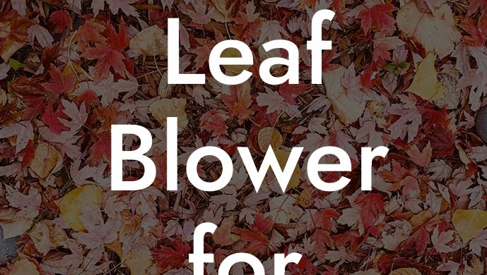 Best Leaf Blower for Car Drying