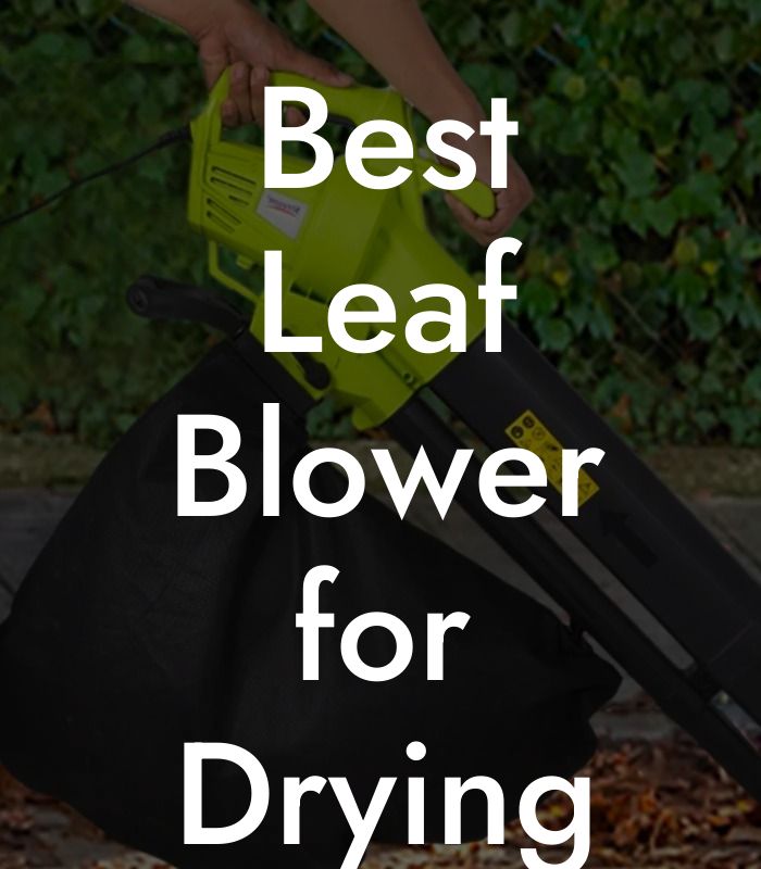 Best Leaf Blower for Drying Car