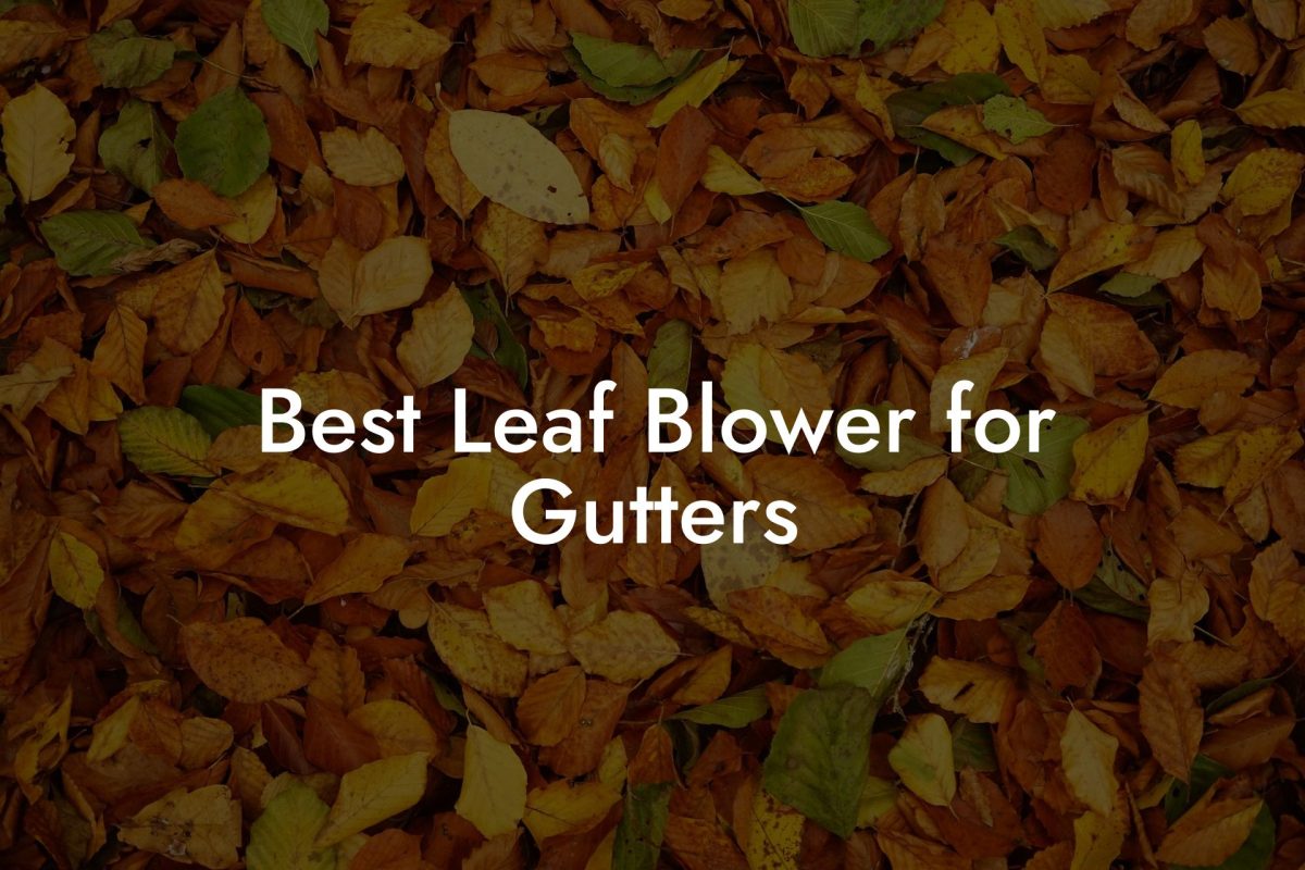 Best Leaf Blower for Gutters