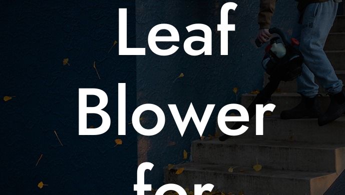 Best Leaf Blower for Large Yard