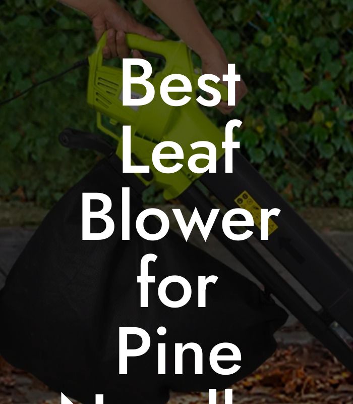 Best Leaf Blower for Pine Needles