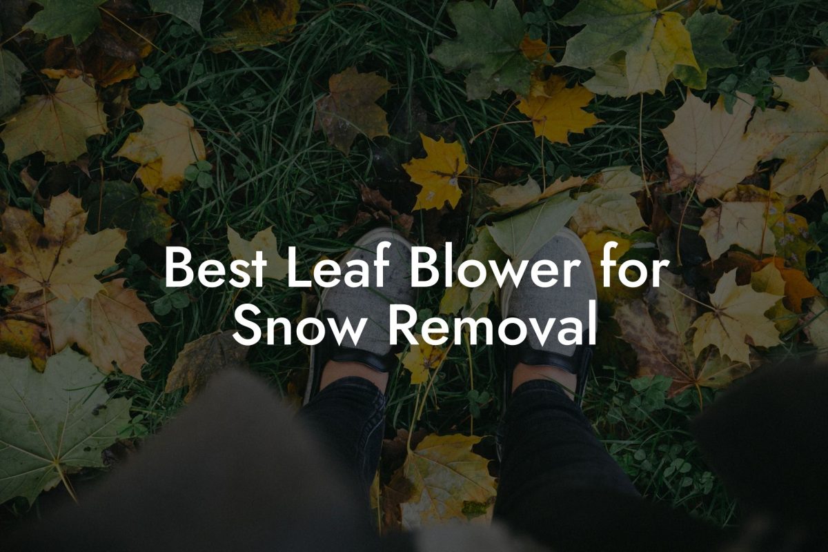 Best Leaf Blower for Snow Removal