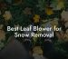 Best Leaf Blower for Snow Removal