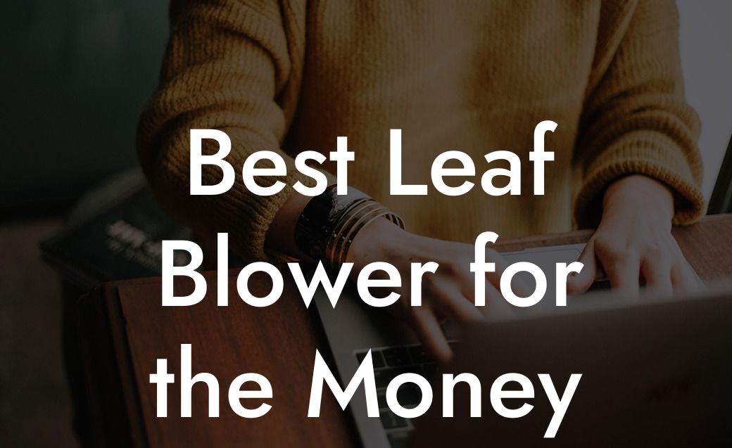 Best Leaf Blower for the Money