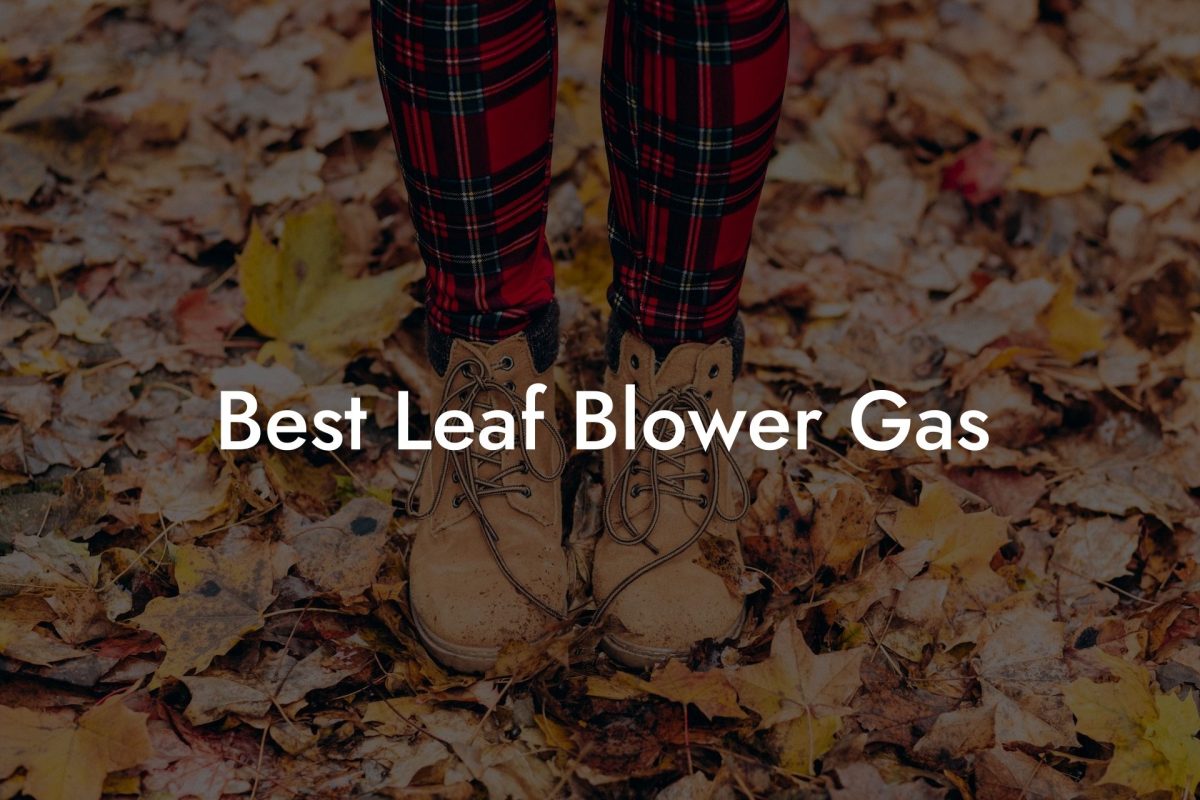 Best Leaf Blower Gas