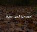 Best Leaf Blower