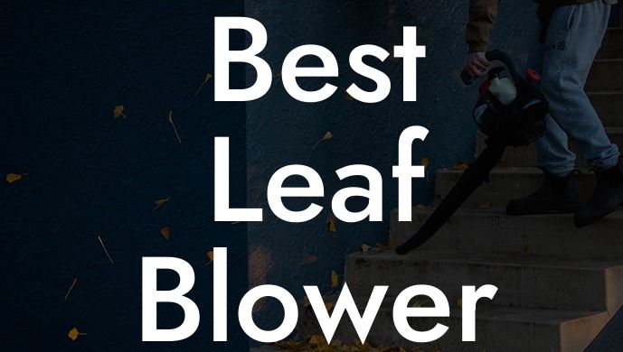 Best Leaf Blower Mulcher