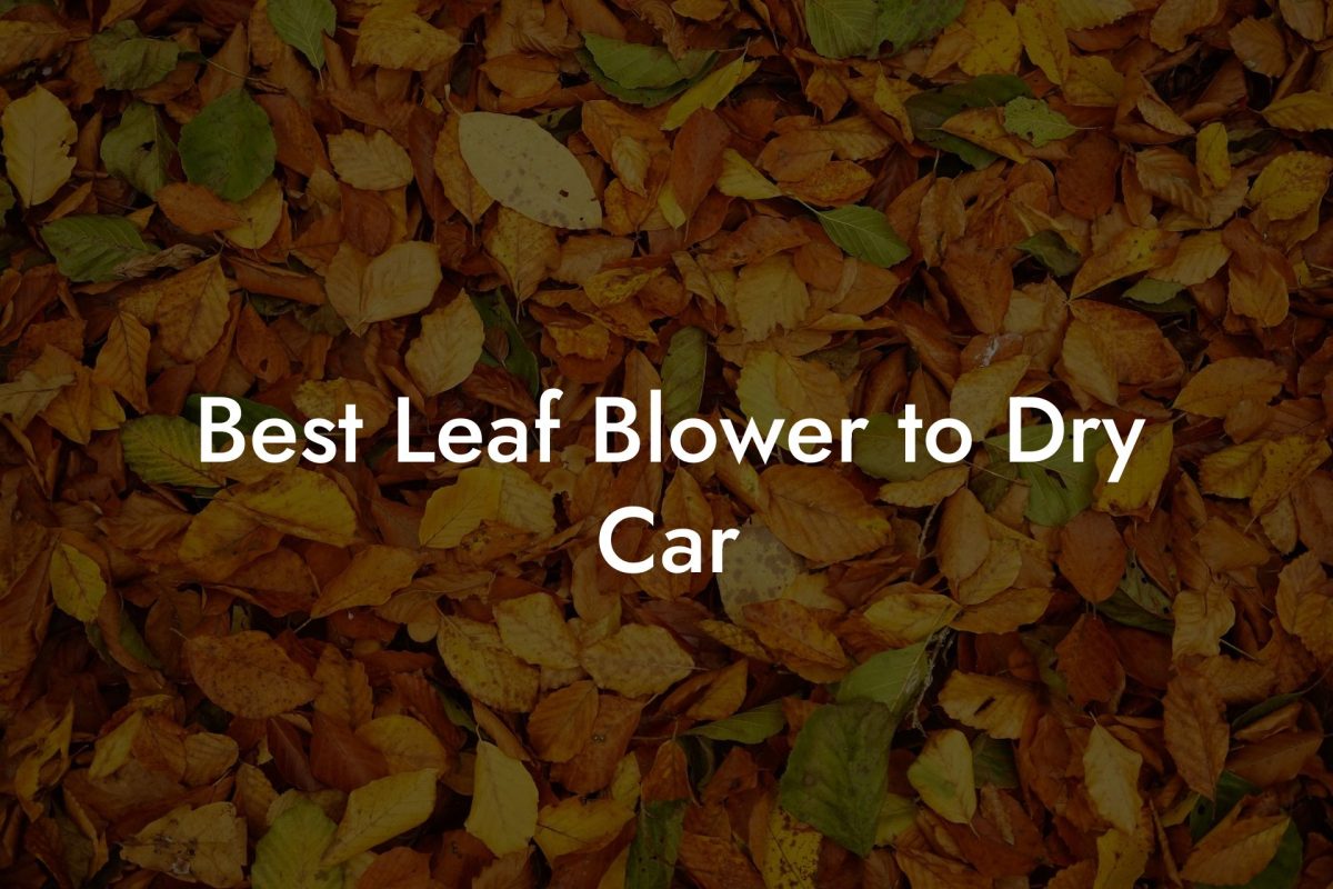 Best Leaf Blower to Dry Car