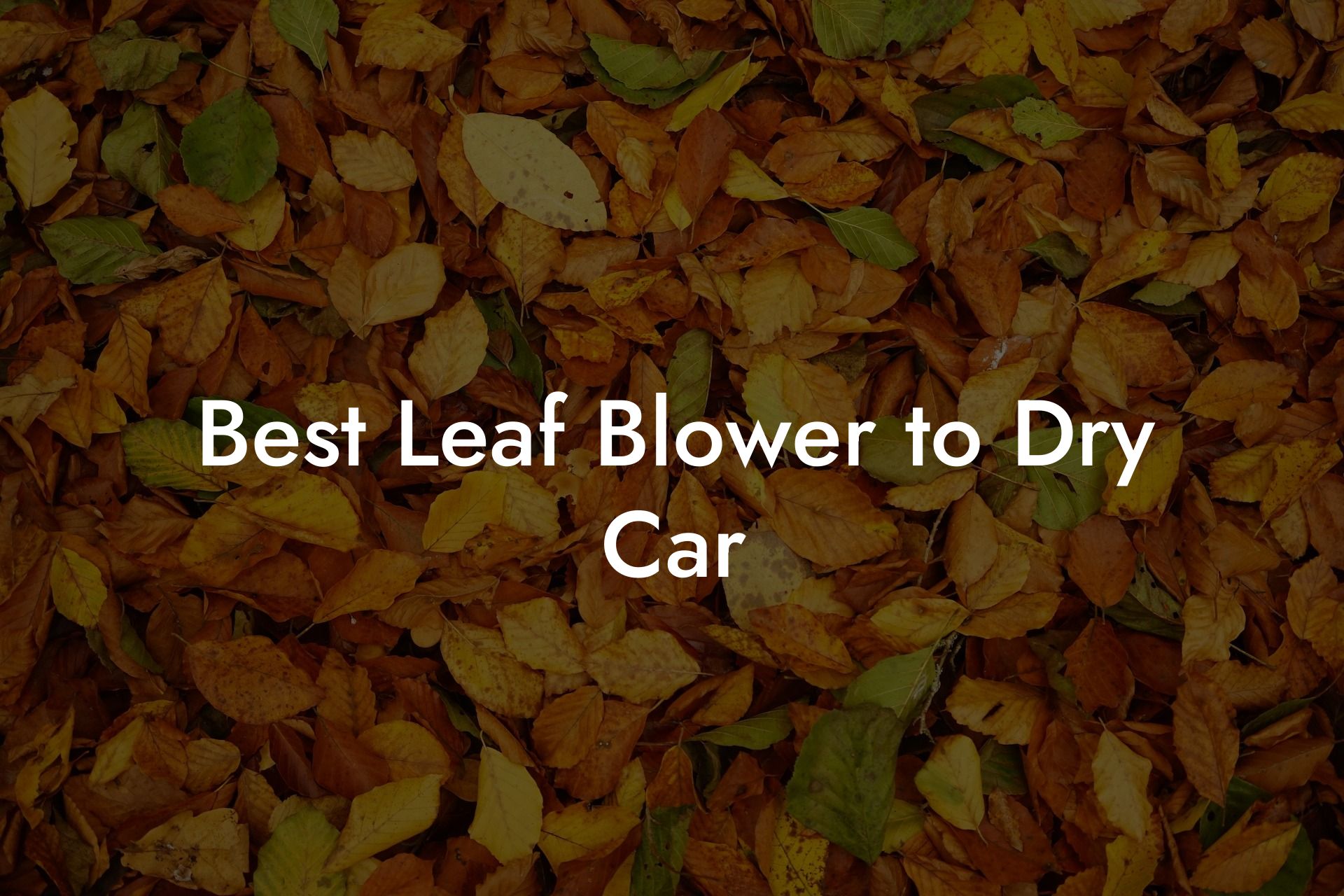 Best Leaf Blower to Dry Car