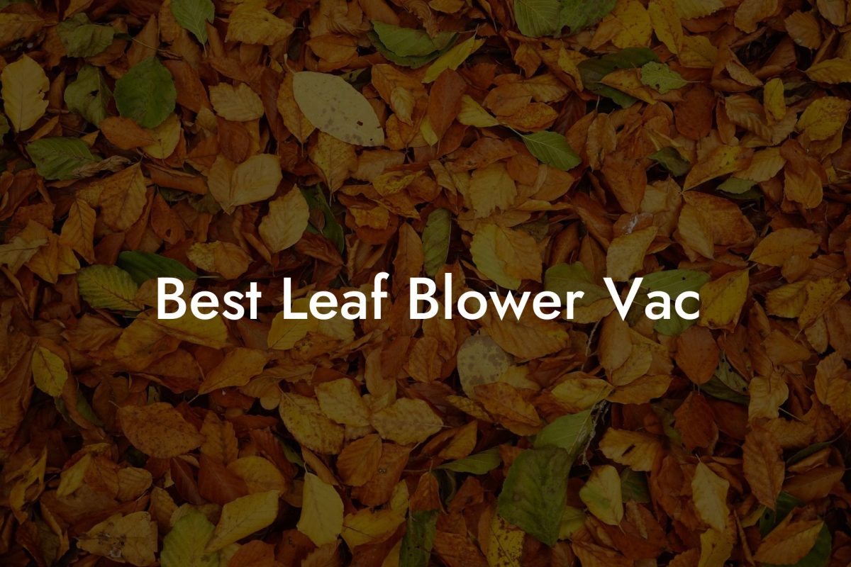 Best Leaf Blower Vac