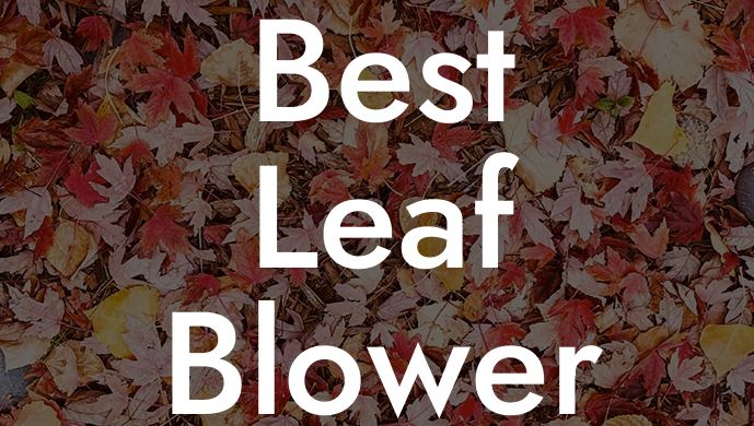 Best Leaf Blower Vacuum