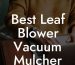 Best Leaf Blower Vacuum Mulcher