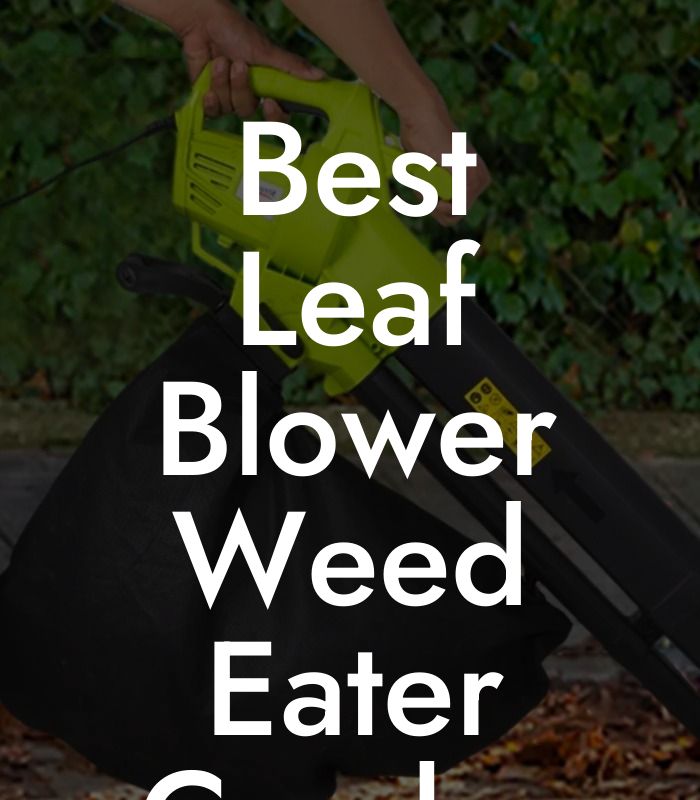 Best Leaf Blower Weed Eater Combo