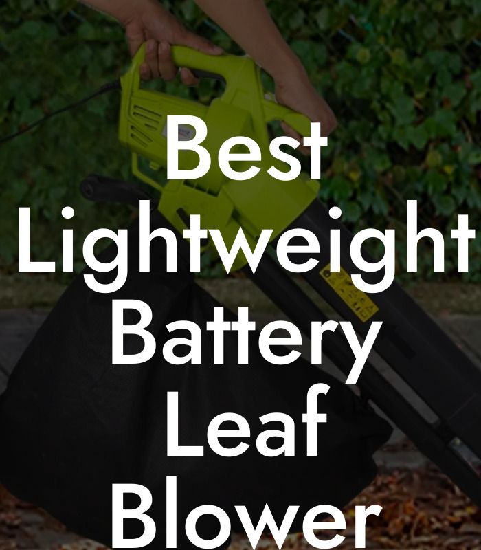 Best Lightweight Battery Leaf Blower