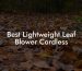 Best Lightweight Leaf Blower Cordless