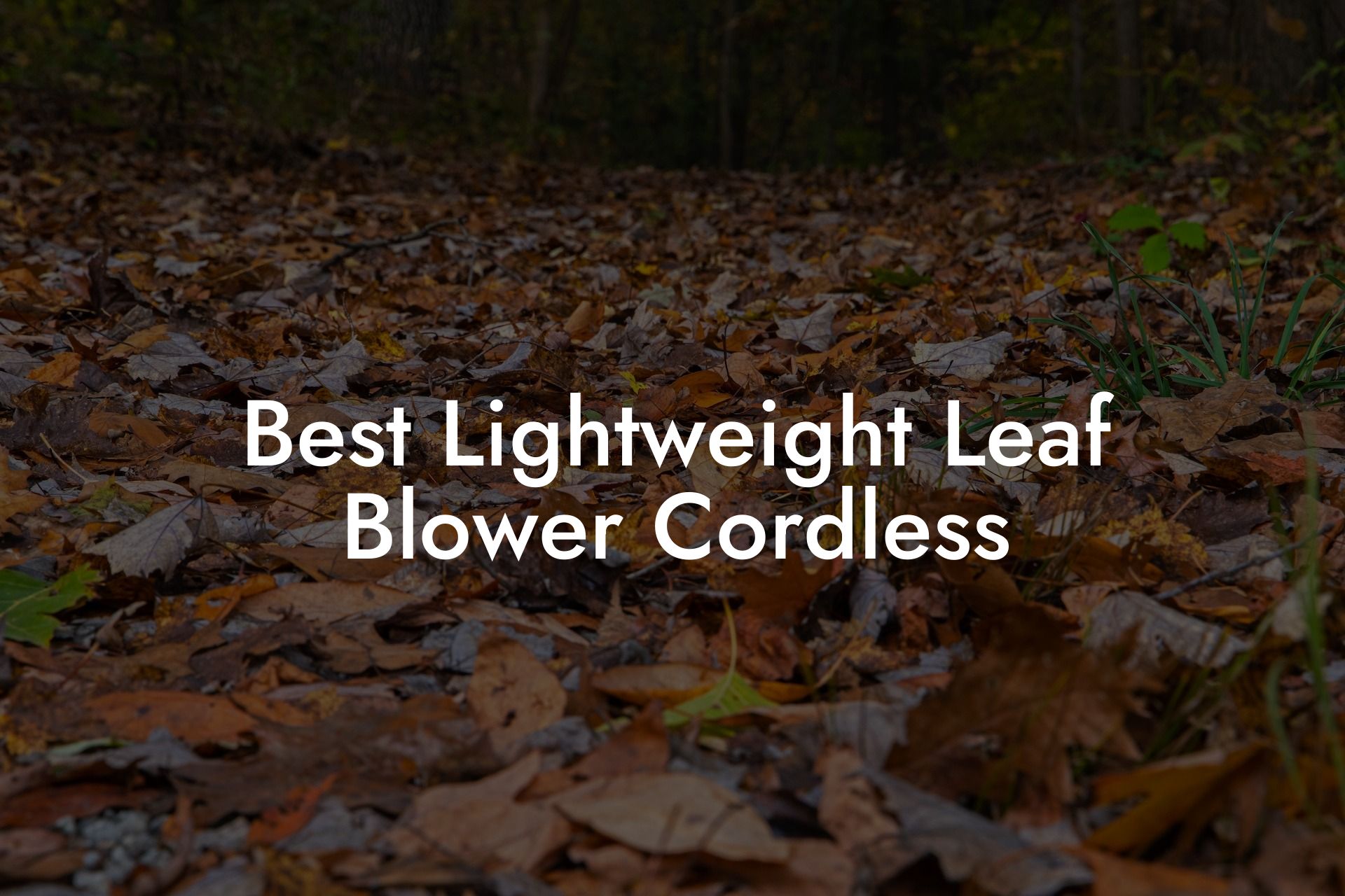 Best Lightweight Leaf Blower Cordless