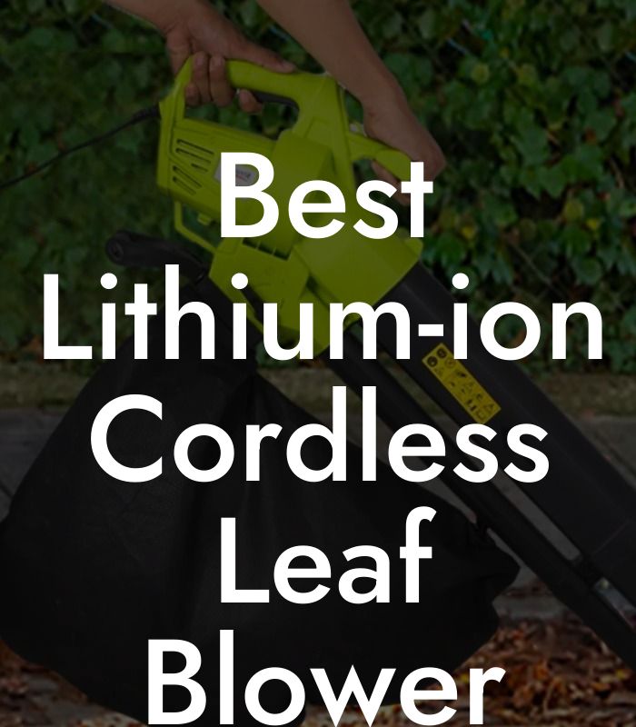 Best Lithium-ion Cordless Leaf Blower