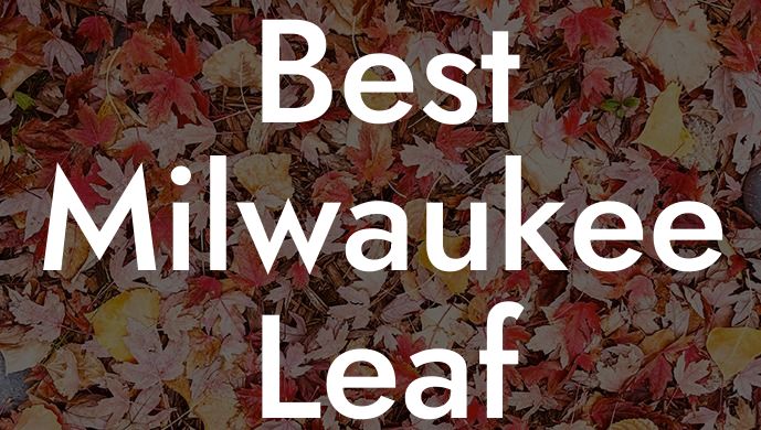 Best Milwaukee Leaf Blower