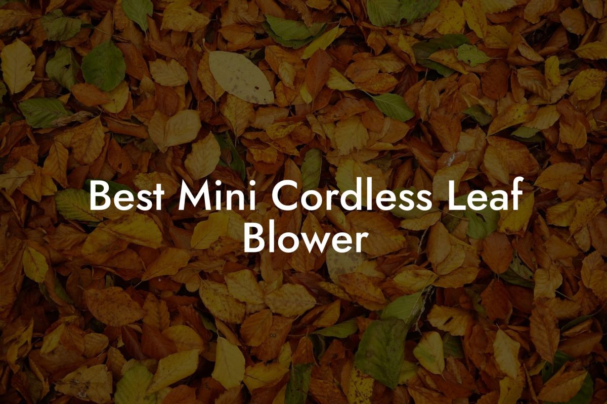 Best Mini Cordless Leaf Blower