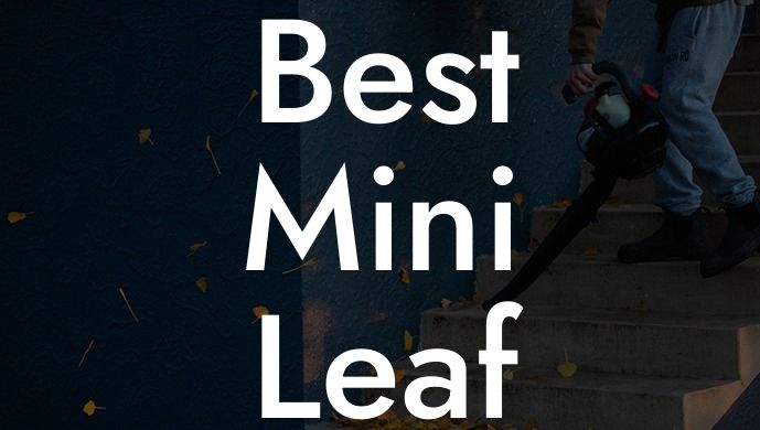 Best Mini Leaf Blower