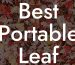 Best Portable Leaf Blower