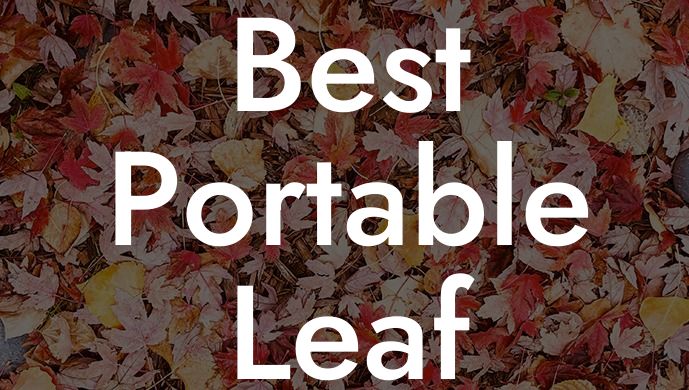 Best Portable Leaf Blower