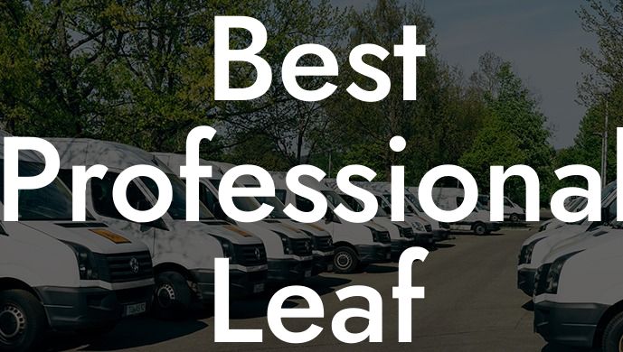 Best Professional Leaf Blower