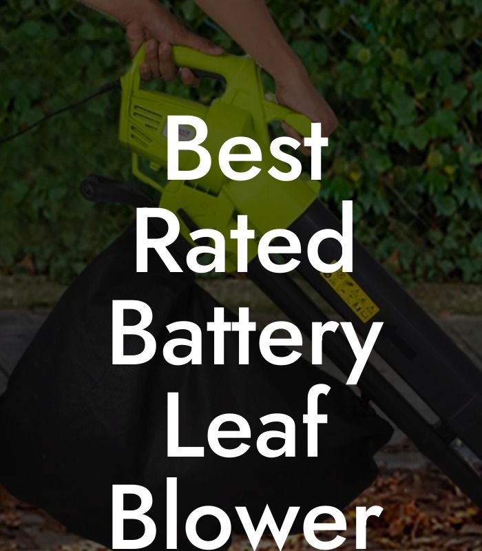 Best Rated Battery Leaf Blower