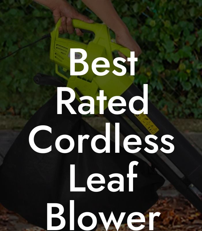 Best Rated Cordless Leaf Blower