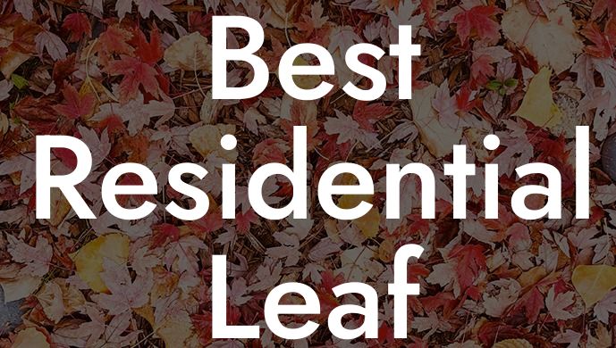 Best Residential Leaf Blower